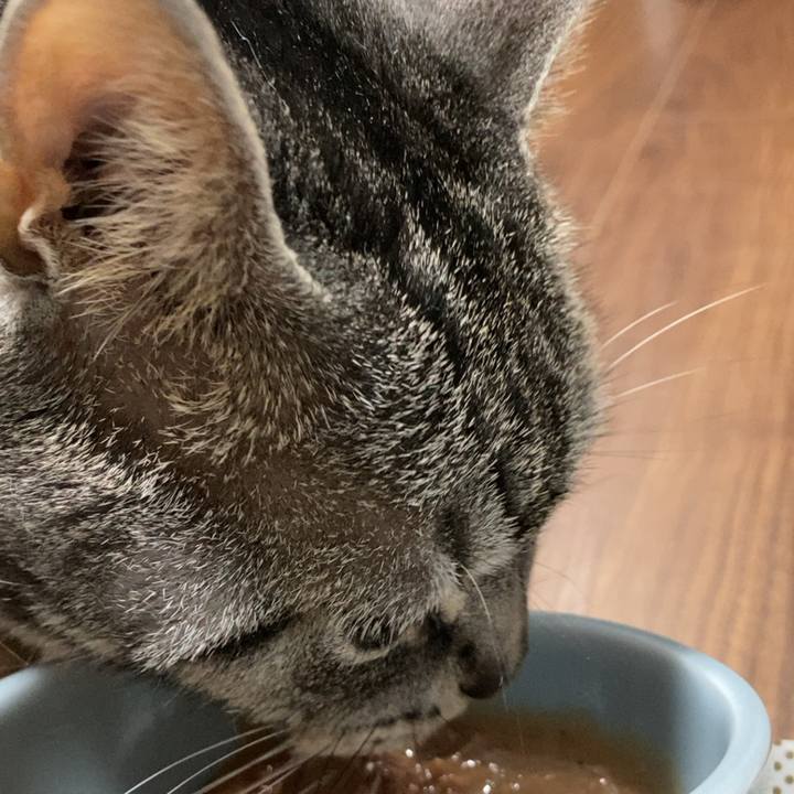 2e00e805 84c6 49b0 a960 2c306525d3e4 1656540020316