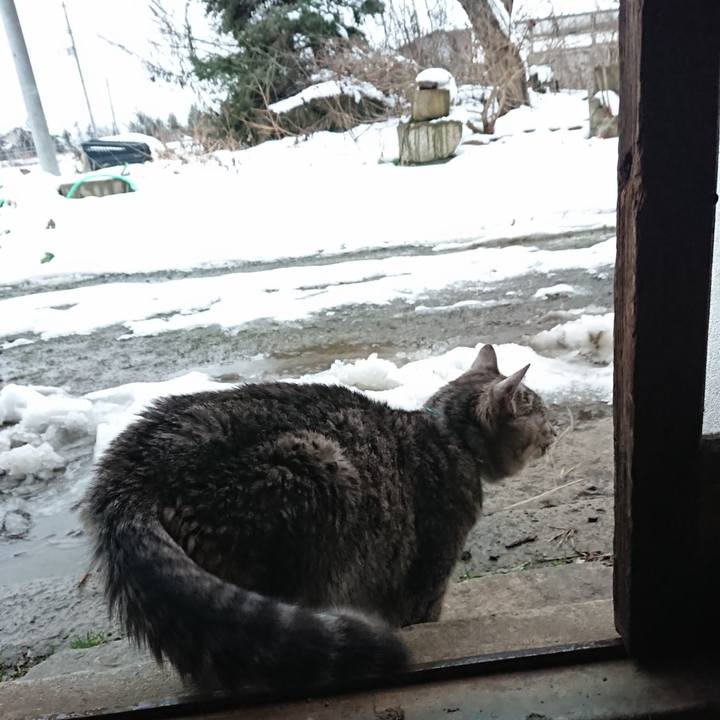 2e00f081 6b6f 485b b08d 817aeefd3848 1577518767711