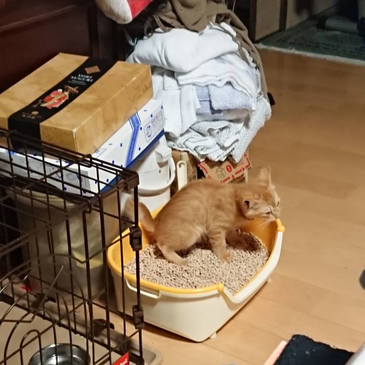 2e00fb79 8ad7 4595 884d 494e98a3dacb 1630095039959