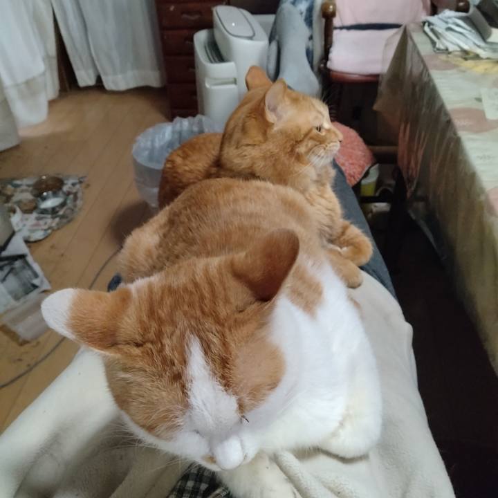 2e00fbdb e3df 48b1 9941 ade4bca17222 1742196647948