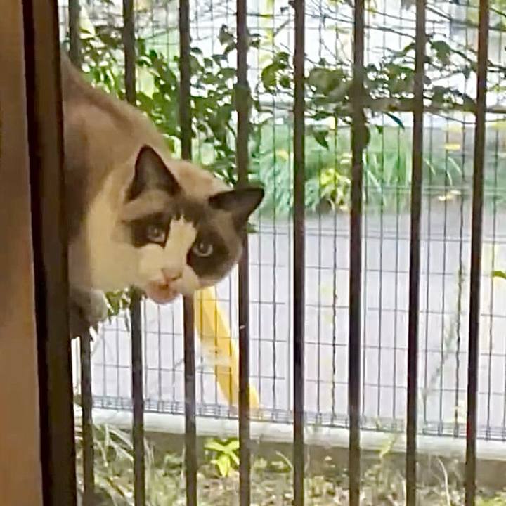 2e01330e b20e 40c6 89b9 1696214e87c4 1733736864153