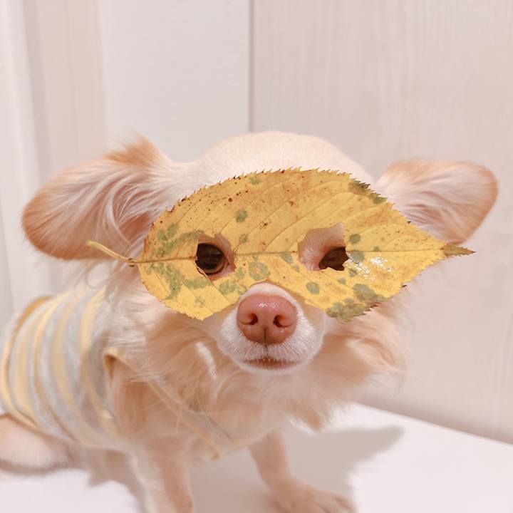 2e0144fa 6101 4408 b8bf d76460eabff1 1664789543923