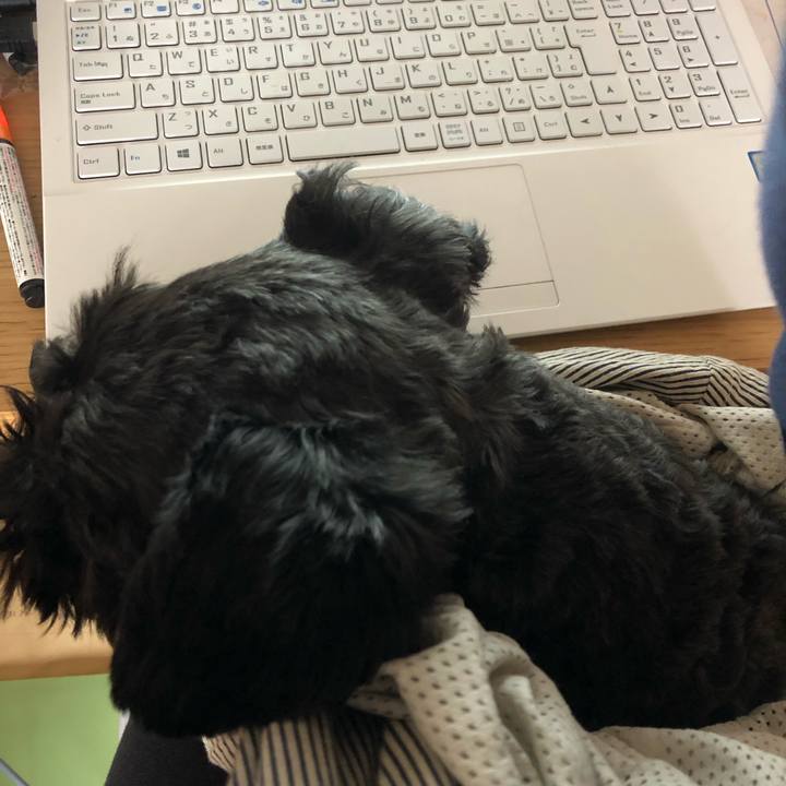 2e014778 d866 4821 bb97 6868d1279e07 1586234734204