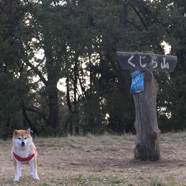 2e016449 6888 43c3 b05f 334fcce08305 1573204643305