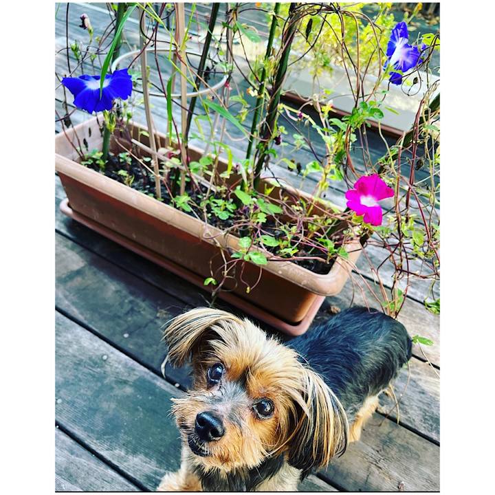 2e018d2c 6e10 4db4 96b1 349b54057cc0 1664491267423