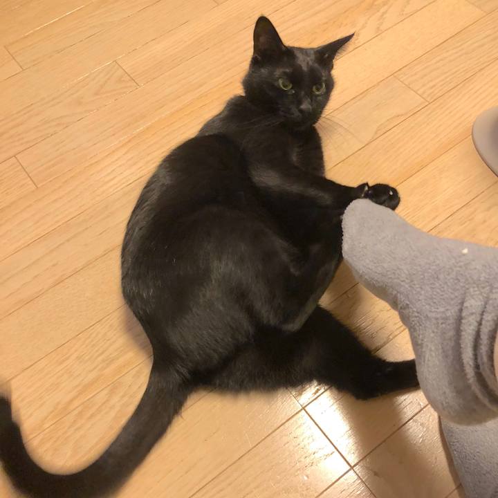 2e019962 7d3c 4769 bc24 67244598be89 1512475609370