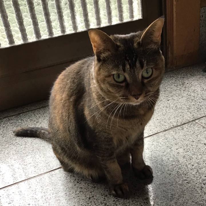 2e01c844 dda0 4e9e 9618 7286d1ad4f96 1669107508708