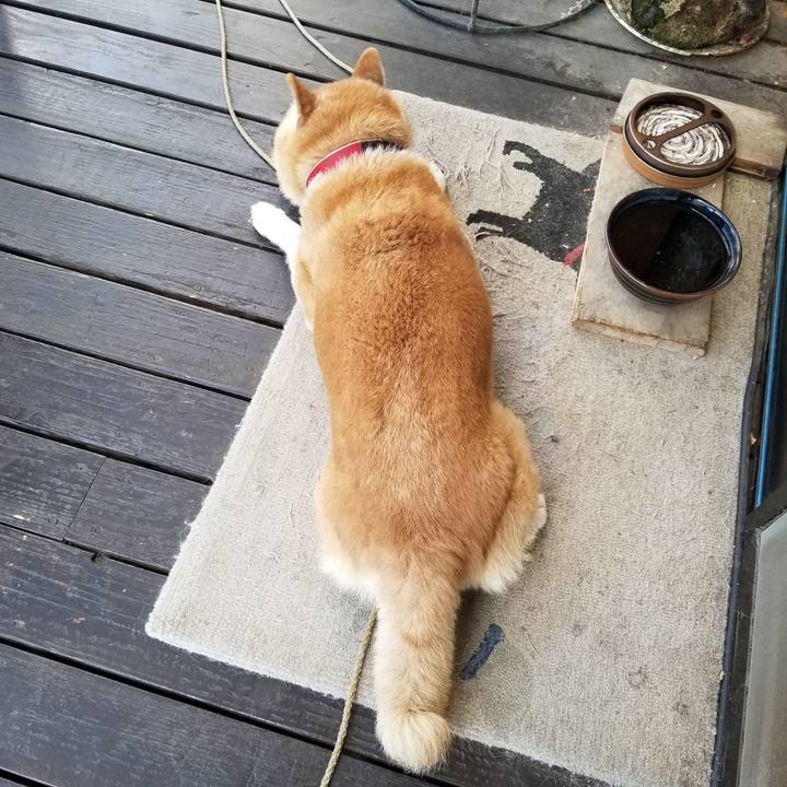 2e01e7c8 2328 4f90 a945 14e6d136c461 1727218781309