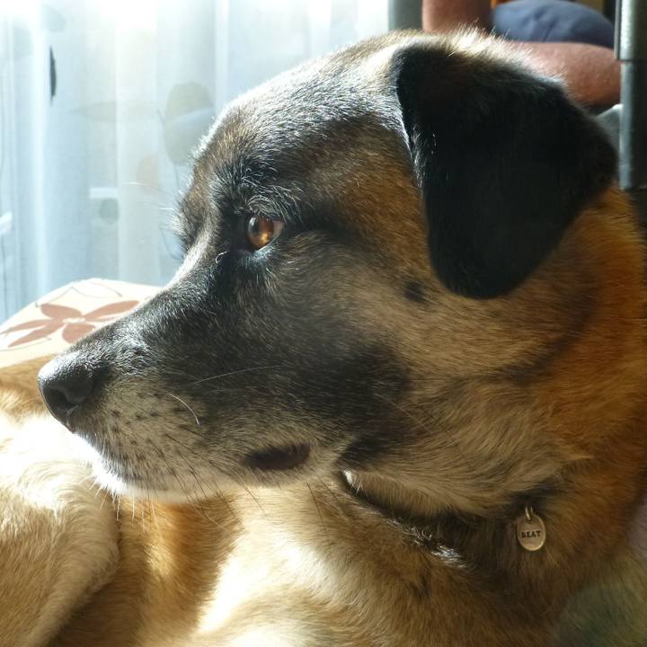 2e0237e0 de23 495a adfd 9034056963f4 1579392358227