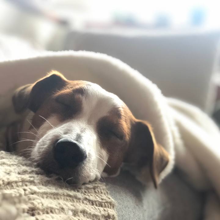 2e02d29d 765a 4304 8806 e259efd9cf1b 1551674913572