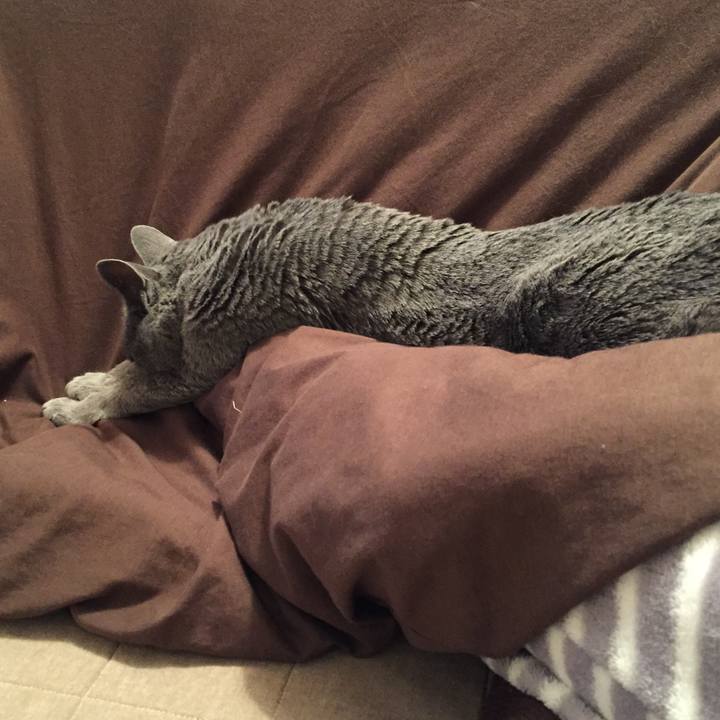 2e02e19a 72db 4a3b 8e59 b9917a0b7292 1548813794663