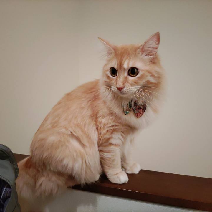 2e02f2e4 889a 4bd6 8300 08fb37a37655 1660565381065