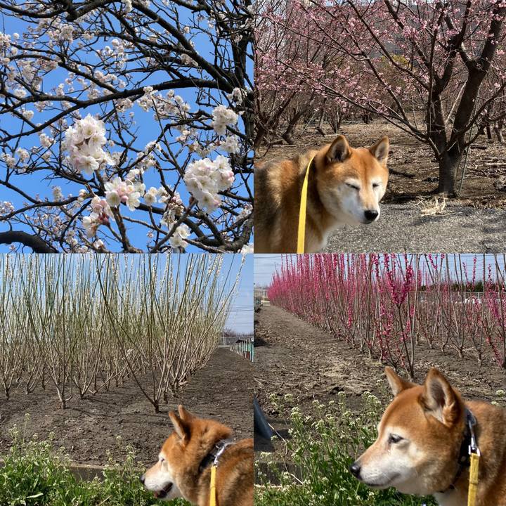 2e033407 2f5d 499e aae4 708cd4ffb1e6 1647321690346