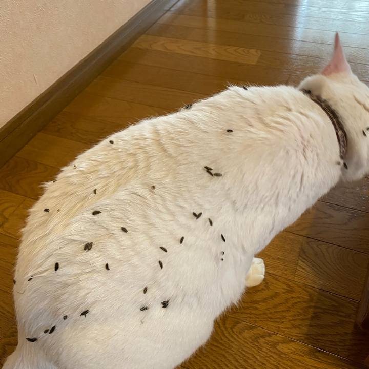 2e0350fd b74b 4396 96c9 94c6f0820d73 1593320638559