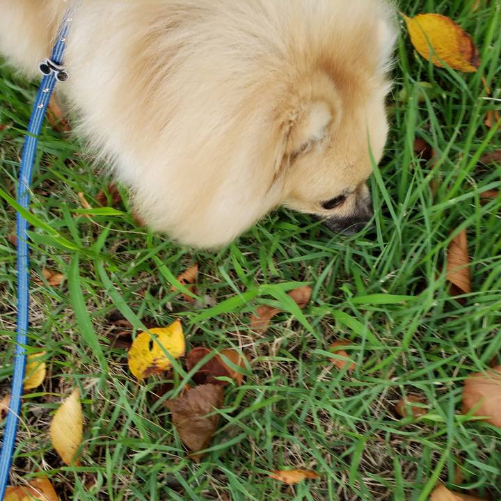 2e0377a4 511e 4e6f a120 4683b8942f55 1630044491457