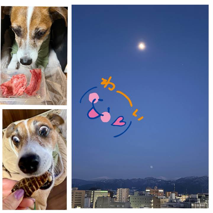 2e0405b2 eaee 4149 a42f b1c134c3dc46 1767271568265