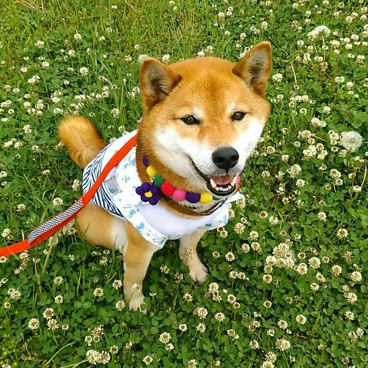 2e043e90 8cfe 4772 95ff 98da5abed24e 1557117781400