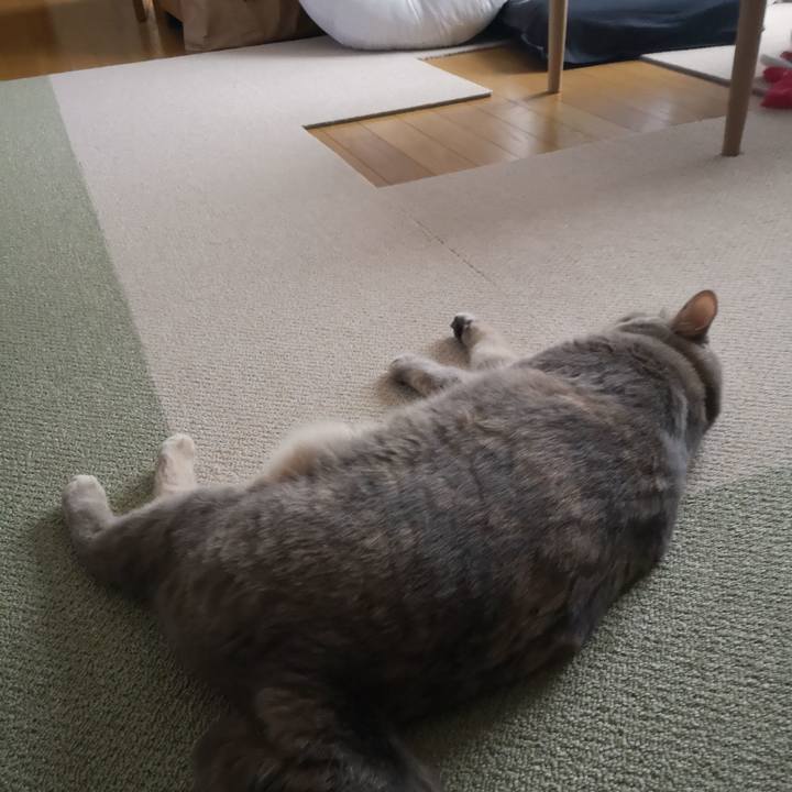 2e0440f3 aa87 4a4b b352 e492a1f13c79 1595388733314