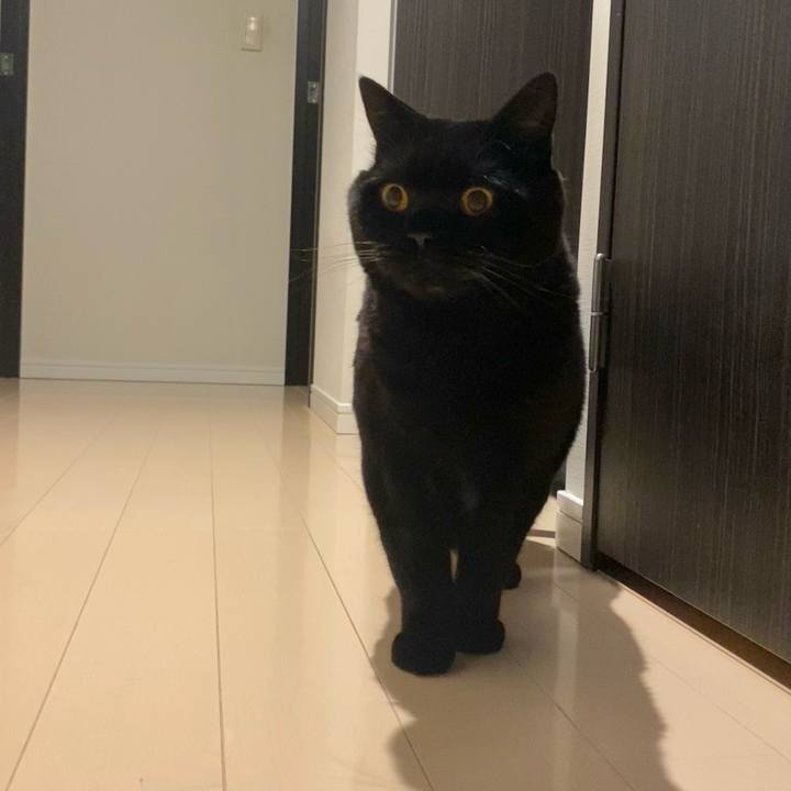 2e044a0d a94e 4c66 aef2 4bc9091f295f 1765280925223