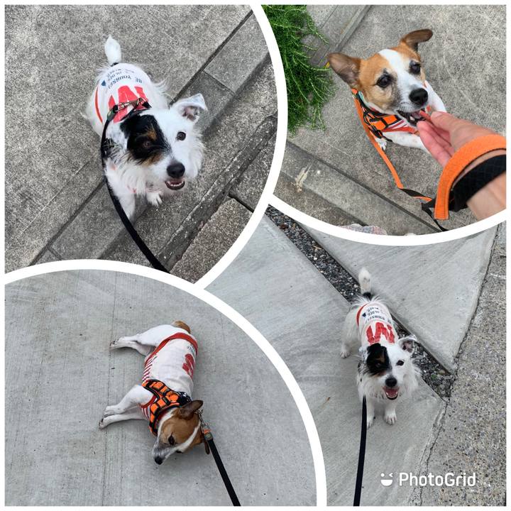 2e045696 87cb 4cf0 aafa 4c36d1583928 1591173399183