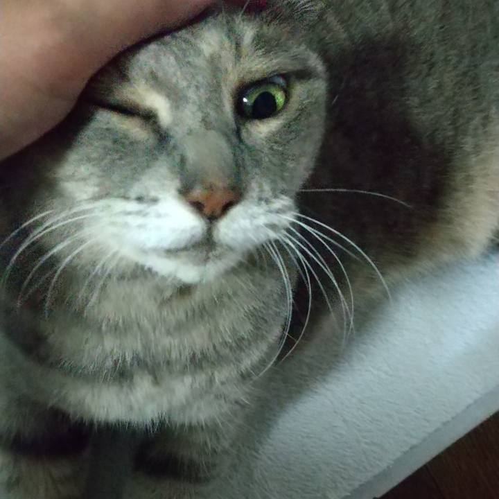 2e0466b6 286b 48ae 85d4 80cc1a138261 1633577228117