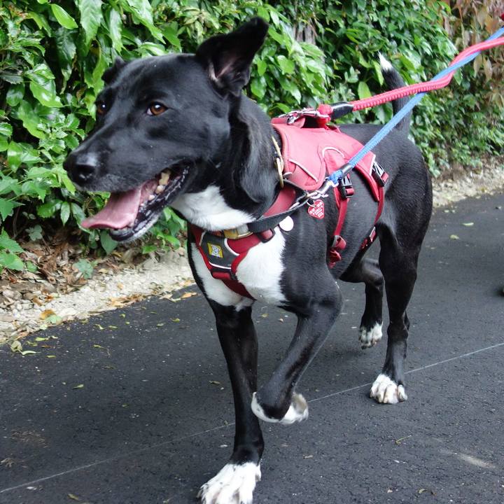 2e04aba6 43d1 4374 bd62 92c450036bce 1590626260503