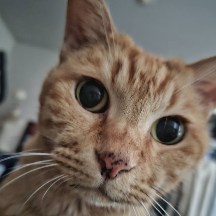 2e04ba01 7f90 45ff a66b e3a331efa080 1755908347318