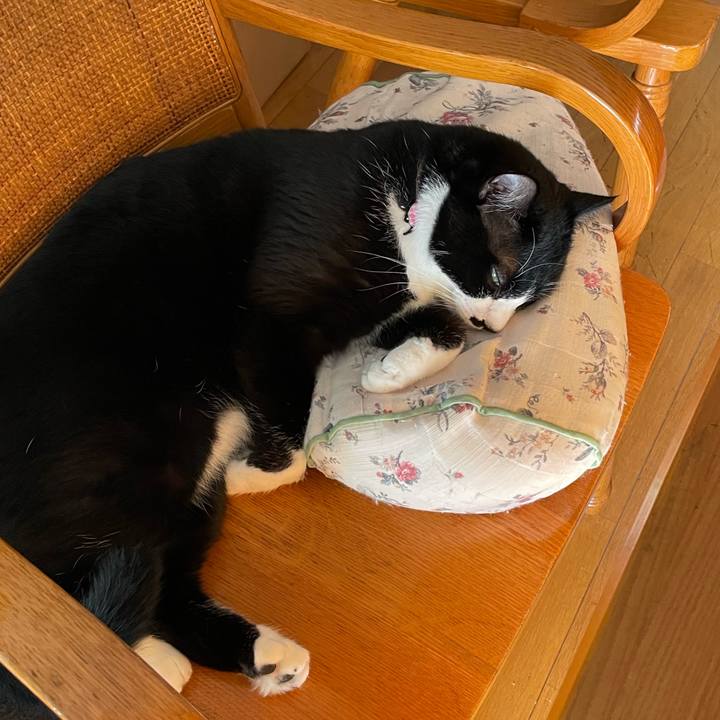 2e051b7c 3f4e 431c 99ad 9eb19b047479 1666224050810