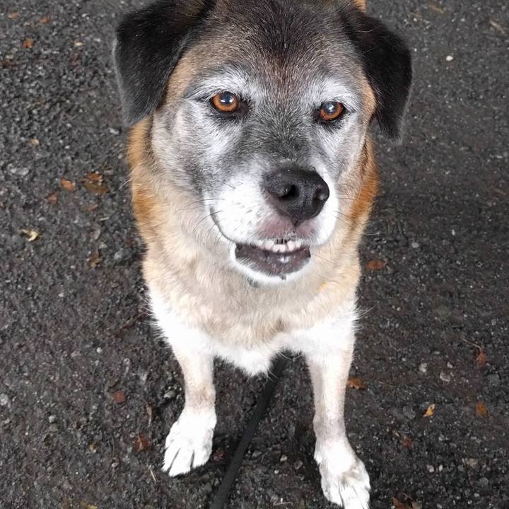 2e0521d4 a6ec 4108 9027 635165f0277f 1533597457141