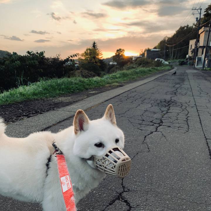 2e0527e8 3530 47e7 926a d3464889399e 1601763030576