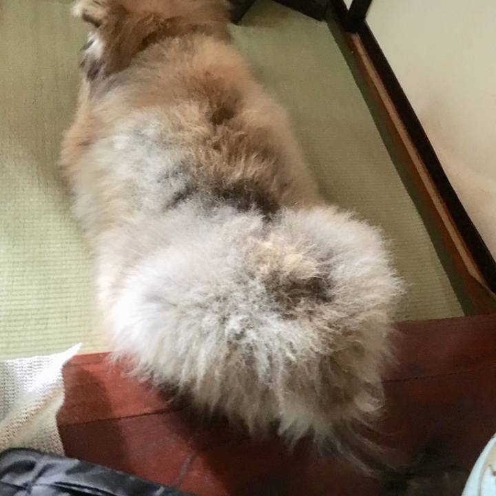 2e0531d6 e20d 43bf af5c bc40ae94ceea 1603027703009