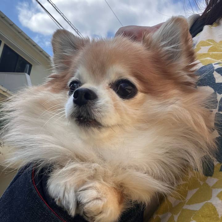 2e053442 69a1 4062 a269 03616d4ff0ed 1760077730050