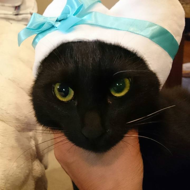 2e0543f4 4ccb 4a32 9a0f ff8578a056d3 1516276468299