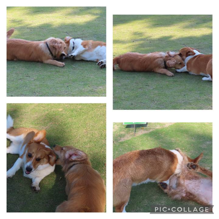 2e0553c6 2882 4290 943d cd24c7085676 1620052317452