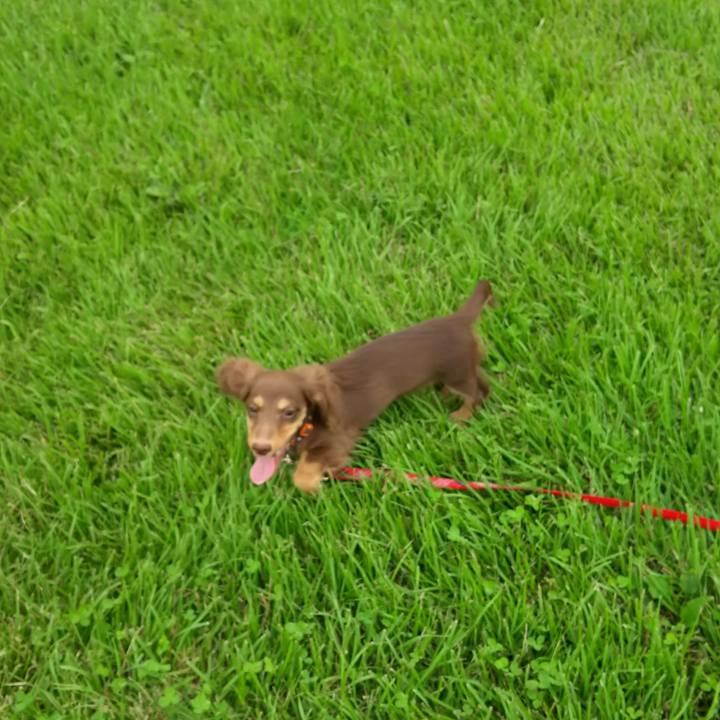 2e05582d 799e 40a6 8957 1454b1166a5c 1554274489971