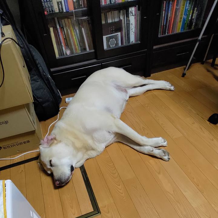 2e0574a9 3841 4fb7 baa3 7f856881e275 1724200266383