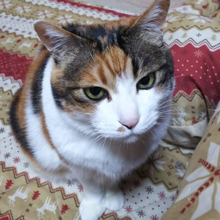 2e05dbf4 e45a 4a7c b947 3a50f3a4ecf3 1556660252386