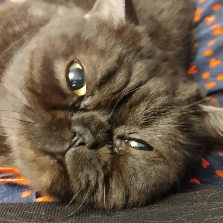 2e061493 0269 4889 87aa a44d5350008c 1612063404700