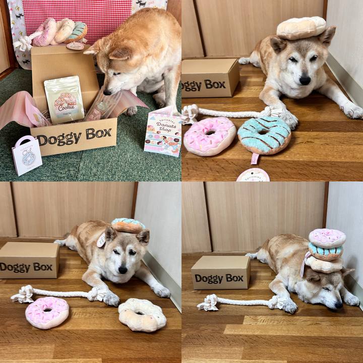 2e061b42 5aaa 42ec 8e42 4213e55500f7 1752383874537