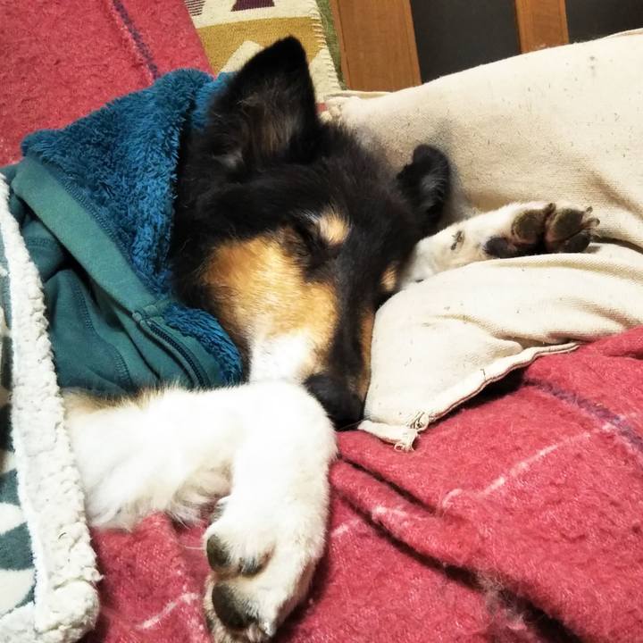 2e0642f2 7d29 4a7c aa50 eb2b278815b9 1577369538057