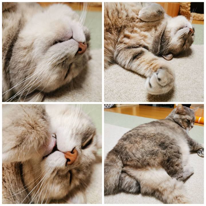 2e064412 9dc6 4305 af95 40215e6f7ca9 1635391378695