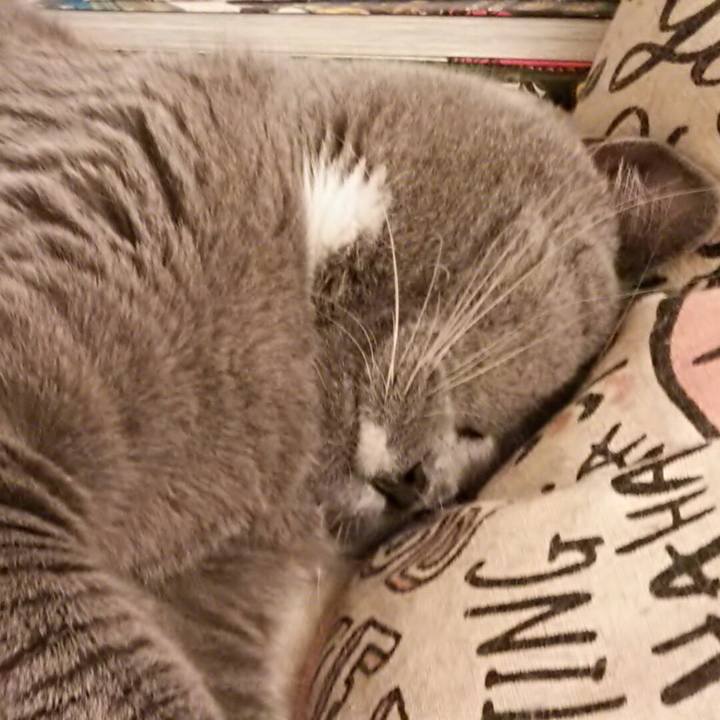 2e065177 c8c4 4638 998b d3e6b1cfd810 1572183873850