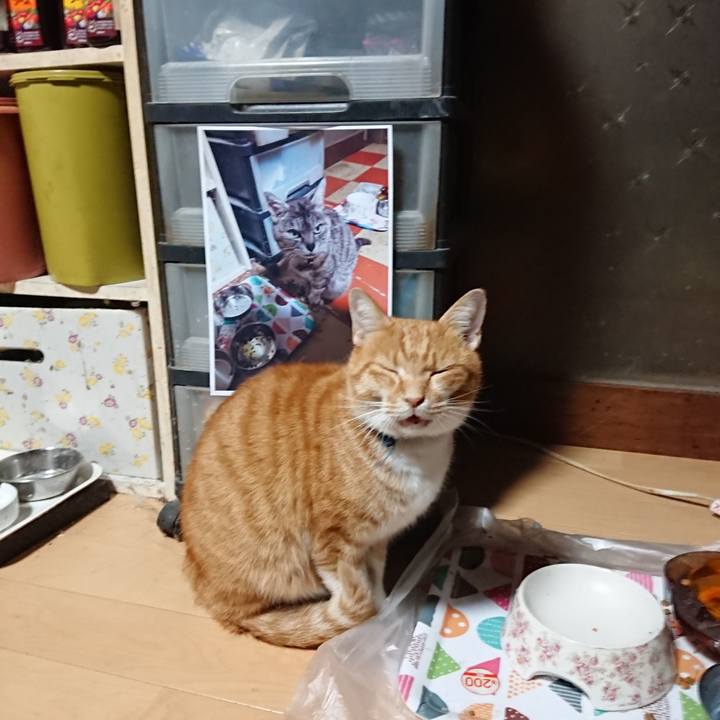 2e0651b0 b3c4 41b5 a6c5 6ece2a982917 1601494963022