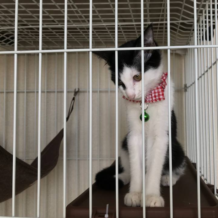 2e068a55 4872 4b96 927a 10d36ae04879 1509930795180