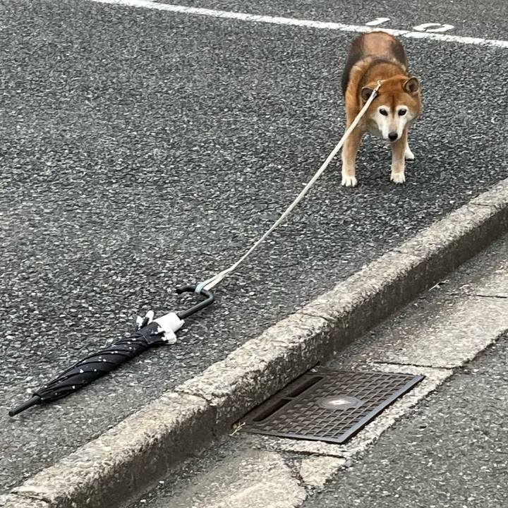 2e069583 a335 4fdc b5d0 d273d4e1fdea 1726643211094