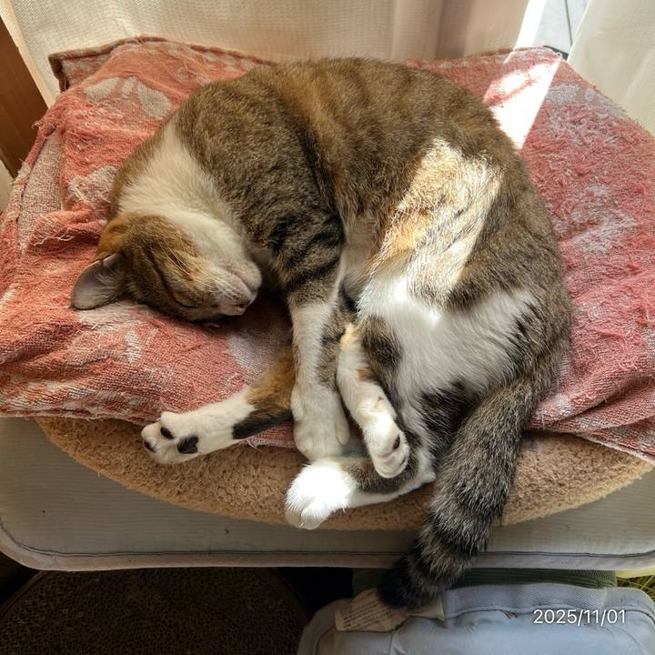 2e06b5cf 5c6b 4352 8e57 f596dcceb416 1761960644580