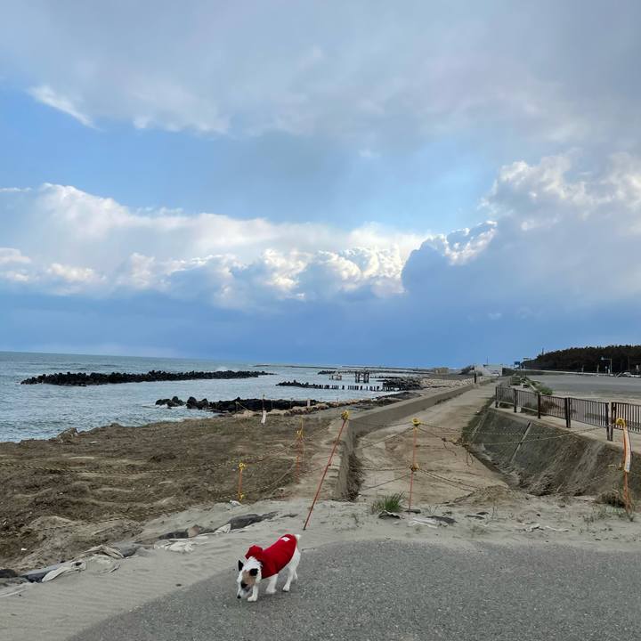 2e06b83b 80f8 4f05 8f17 3ed5b8c28714 1617923793558