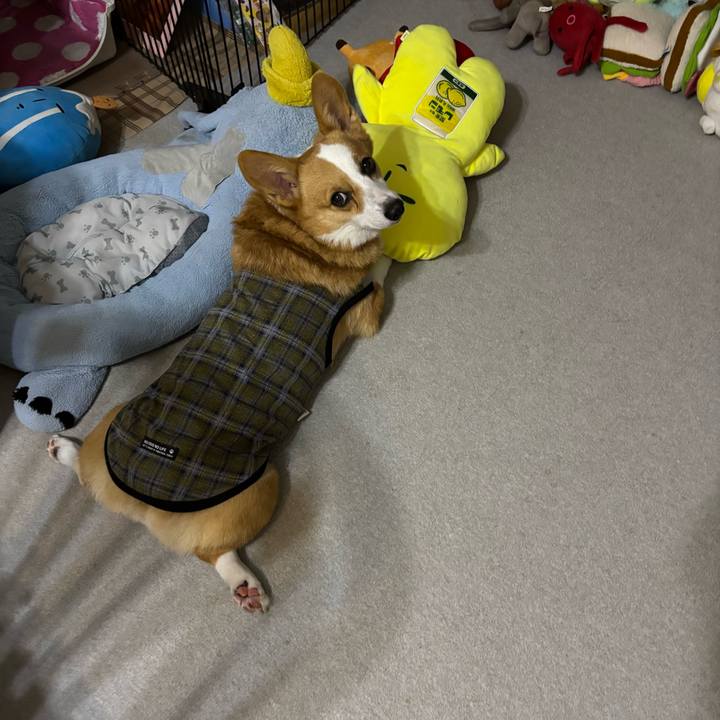 2e06be1c d77d 4d5c 9ac1 8096ff519359 1760613719710