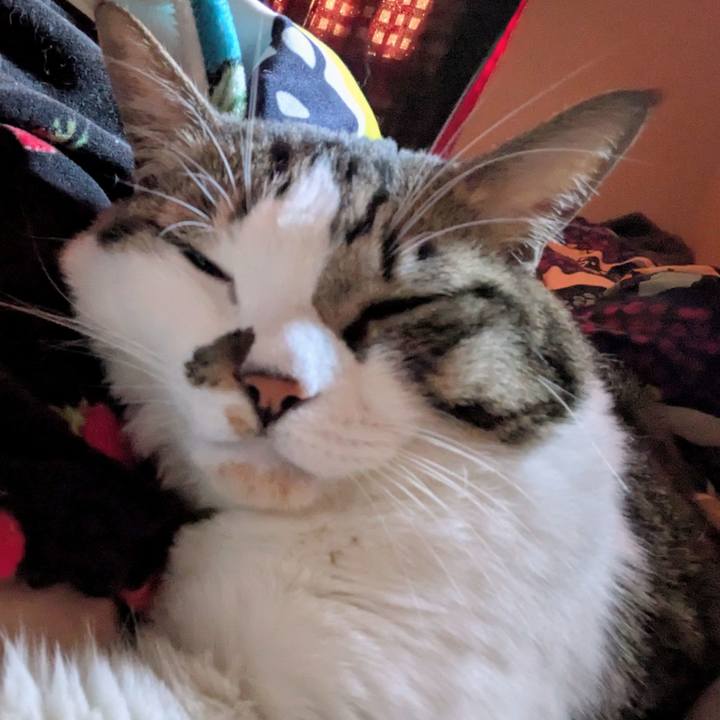 2e06c24b 765a 46d0 a439 ef8972f734fa 1765067850307