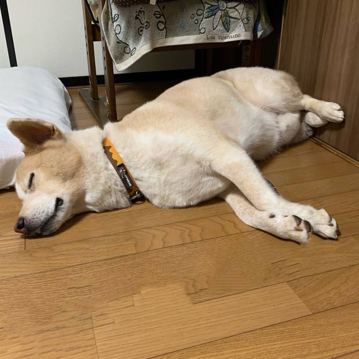 2e06f457 fcff 4c83 af8d e97e24bb2732 1600611357235